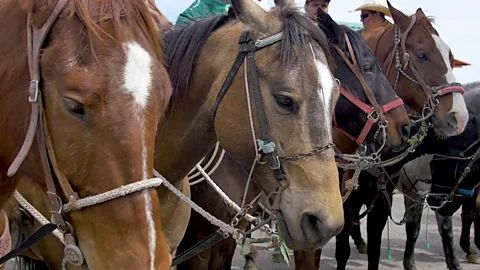 Ángel Estrada Soto (Credit: Ángel Estrada Soto)
