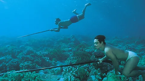 Alamy Traditional free divers of the Bajau people in Indonesia have evolved enlarged spleens to help them spend longer underwater (Credit: Alamy)
