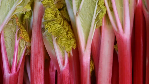Mike MacEacheran Rhubarb once commanded three times the price of opium and saffron (Credit: Mike MacEacheran)