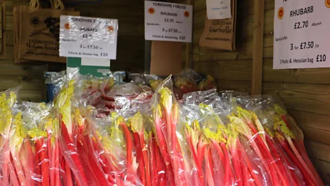Mike MacEacheran Forced rhubarb is far sweeter than the normal variety (Credit: Mike MacEacheran)