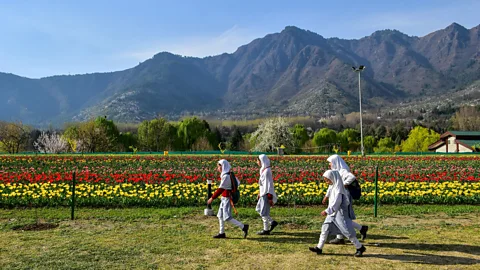Getty Building emotional connections with plants is crucial for their conservation (Credit: Getty)