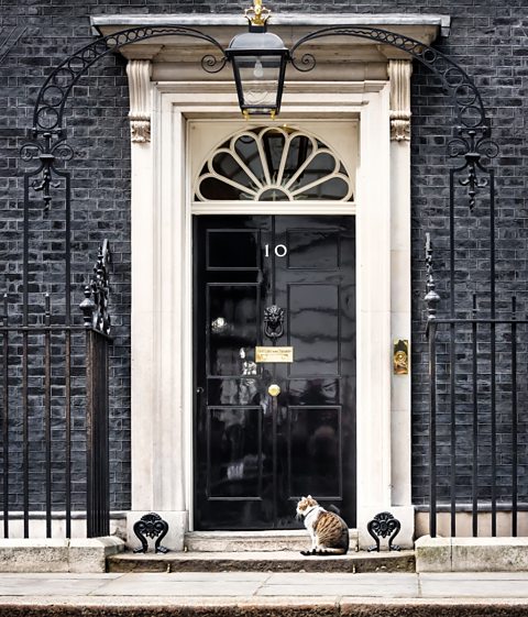 Larry the cat outside number 10 Downing Street