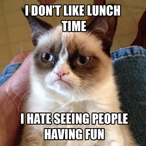 grumpy cat meme