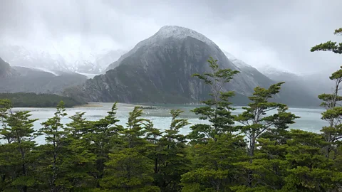 James Clark Frozen in the north-west corner of the Beagle Channel, Pia Glacier was once a 14-sq-km hunk of ice and has now shrunk to around 7 sq km (Credit: James Clark)