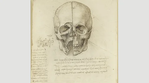 Royal Collection Trust/Her Majesty Queen Elizabeth 2019 The skull sectioned, 1489: in another drawing of the brain, Da Vinci drew the cerebral ventricles as three cavities, housing imagination, reasoning and memory