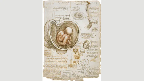 Royal Collection Trust/Her Majesty Queen Elizabeth 2019 The foetus in the womb, c 1511: colour is usually absent in Da Vinci’s anatomical studies, but in this drawing he used red chalk, stepping back from a purely mechanical approach