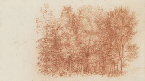 Royal Collection Trust/Her Majesty Queen Elizabeth 2019 Da Vinci drew trees at the edge of a wood with a range of touch, the chalk sharpened or used broadly, and occasionally wetted on the artist’s tongue to add density in the shadows