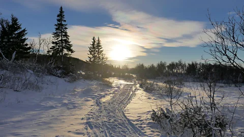 Benoit Derrier (Credit: Benoit Derrier)