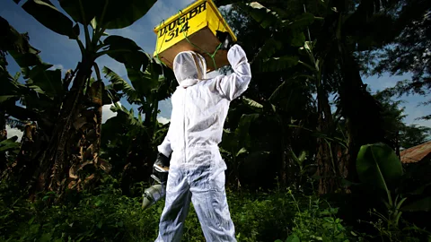 Getty Images A wave of new technology could help the industry overcome its challenges (Credit: Getty Images)