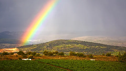 Alamy Does the pollen count really go down after there's been a downpour? (Credit: Getty Images)