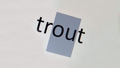 Recognising letters and words