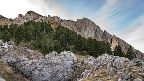 Aleksandar Manasiev (Credit: Aleksandar Manasiev)