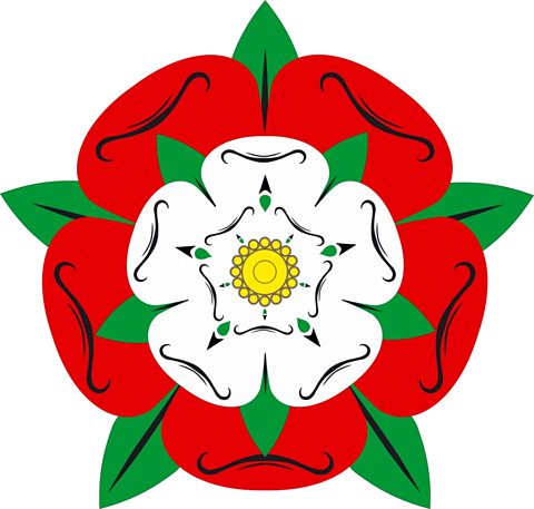 tudor rose