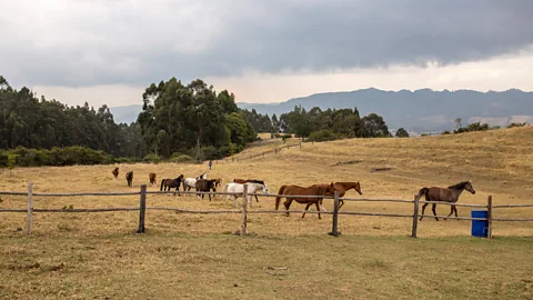 Gena Steffens (Credit: Gena Steffens)