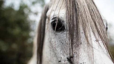 Gena Steffens (Credit: Gena Steffens)