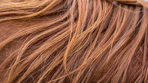 Gena Steffens (Credit: Gena Steffens)