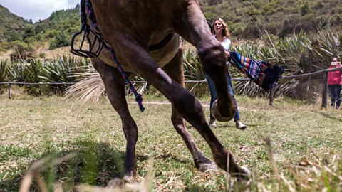 Gena Steffens (Credit: Gena Steffens)