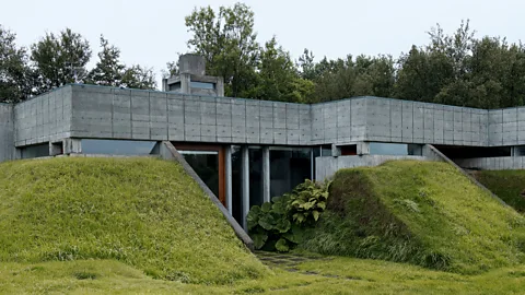 Íris Ann Bakkaflöt dissolves into the landscape, leaving just the roof visible (Credit: Íris Ann)