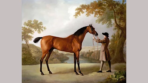Alamy Tristram Shandy was so popular that a racehorse – depicted here in a painting by George Stubbs – was named after it (Credit: Alamy)