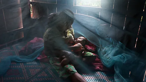 Getty Images Mosquito nets are currently one of the best ways to prevent the spread of malaria (Credit: Getty Images)