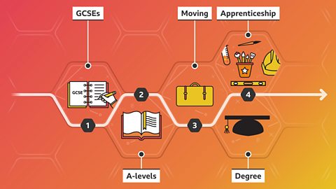 Zuzanna's career pathway