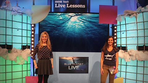 Watch again: Blue Planet – Live Lesson