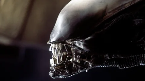 Alamy While HR Giger’s terrifying demon stole the limelight, another of the film’s draws was the Nostromo crew – and their sheer normality (Credit: Alamy)