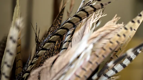 Martina Žoldoš (Credit: Martina Žoldoš)