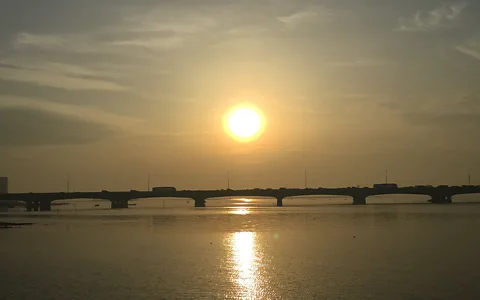 Ayodele Johnson (Credit: Ayodele Johnson)