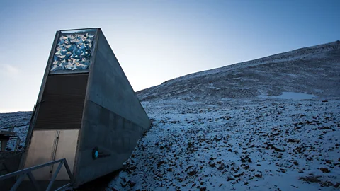 Alamy In 2016 the Doomsday Vault – a sub-permafrost facility in Arctic Norway, which safeguards millions of crop seeds for perpetuity – was breached with meltwater (Credit: Alamy)