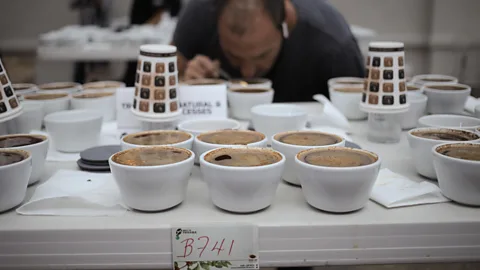 Alamy Stock Photo A juror examines coffee entrants at "The Best of Panama" competition (Credit: Alamy Stock Photo)