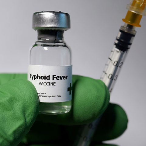 Photograph of Typhoid Fever vaccine