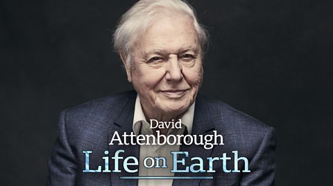 BBC Radio 4 - Life on Earth by David Attenborough, Ep1. The