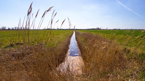 BBC Radio 4 - The Fens: Discovering England's Ancient Depths, Episode 2