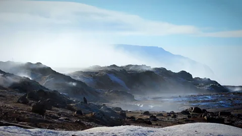 Werner Hoffmann (Credit: Werner Hoffmann)