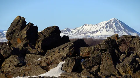 Werner Hoffmann (Credit: Werner Hoffmann)