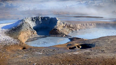 Werner Hoffmann (Credit: Werner Hoffmann)