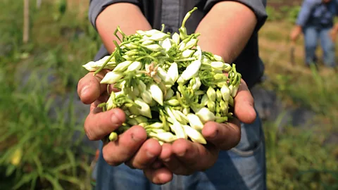 Jose Cabezas/Getty Images (Credit: Jose Cabezas/Getty Images)