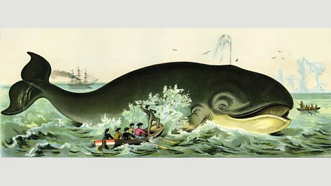 Alamy In Herman Melville’s Moby Dick (1851), the natural world is deadly (Credit: Alamy)