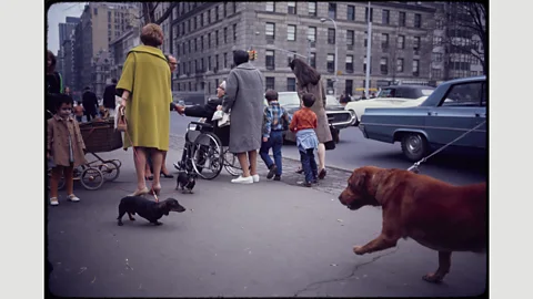The Estate of Garry Winogrand, courtesy Fraenkel Gallery Untitled (New York), 1967 (Credit: The Estate of Garry Winogrand, courtesy Fraenkel Gallery)