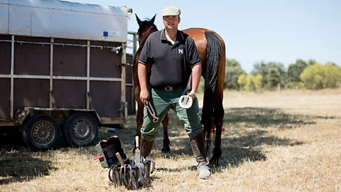 Antolín Avezuela Holidaymakers are able to take part in Spain's cattle migrations