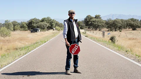 Antolín Avezuela A cowboy blocks the road to allow cows to pass during Spain's bi-annual migration