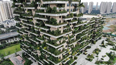 Getty Images p07hrg64