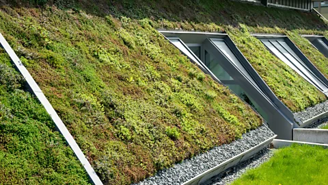 Getty Images A bit of air quality care can go a long way, such as simply opening the windows when outside air is clean or running the ventilation system more often (Credit: Getty Images)