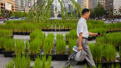 Alamy 'Kkondae' loosely translates to 'condescending older person'. The label is mostly applied to men, often in middle- or upper-management positions (Credit: Alamy)