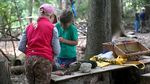 Forest School