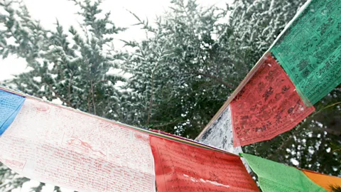 Daniel Agha-Rafei (Credit: Daniel Agha-Rafei)