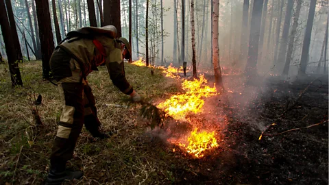 Getty Images Enormous forest fires in the Siberian tundra have threatened nearby settlements while chocking the region with smoke and ash (Credit: Getty Images)