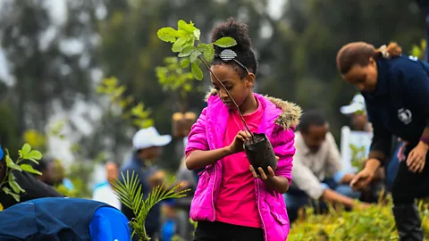 Getty Images (Credit: Getty Images)