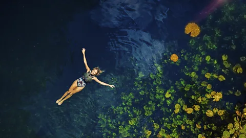 Xenotes Today, visitors from around the world flock to the Riviera Maya to bathe in cenotes' aquamarine pools (Credit: Xenotes)